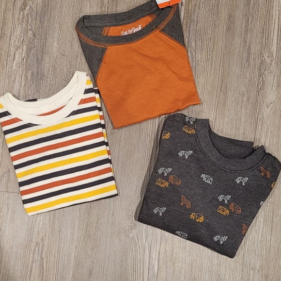 NWT - 2T | Bundle of Boy clothes with sweatpants and long sleeve shirts - Picture 4 of 5